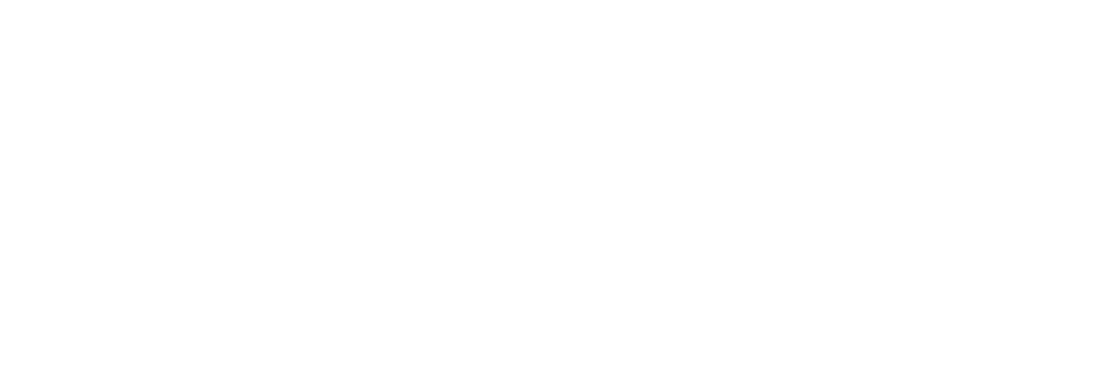 fine coat plastering & decorating logo upscaled white